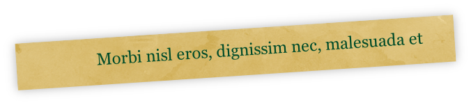 Morbi nisl eros, dignissim nec, malesuada et