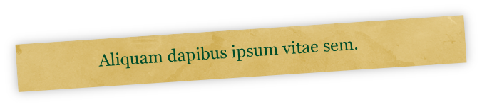 Aliquam dapibus ipsum vitae sem. 